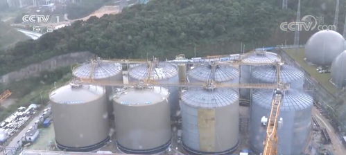 踐行低碳環(huán)保發(fā)展理念 綠色發(fā)展助力中國經(jīng)濟轉(zhuǎn)型升級