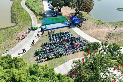 認(rèn)種3850棵!東莞青年為&ldquo;百千萬(wàn)工程&rdquo;注入綠美力量