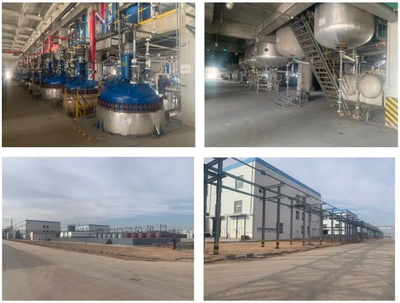 惡唑酰草胺、滅草松等原藥項(xiàng)目建成投產(chǎn),寧夏藍(lán)田已投資超過3.2億元